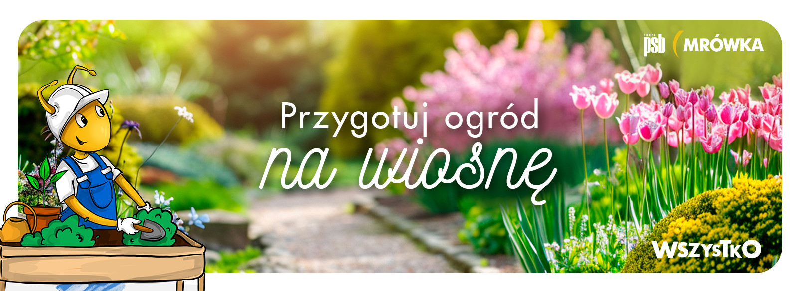 Grupa PSB mrowka Mrówka Iława