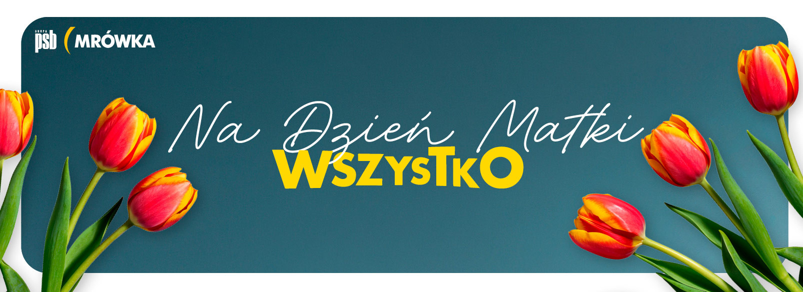 Grupa PSB mrowka Mrówka Iława