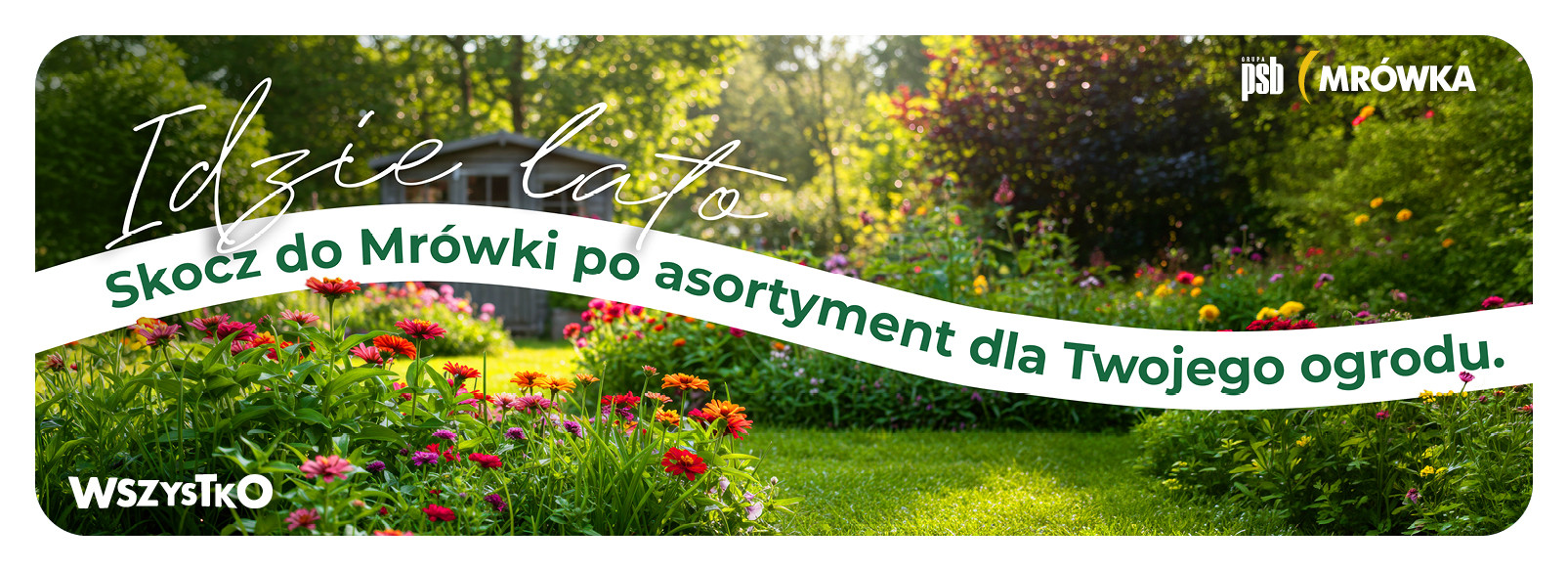 Grupa PSB mrowka Mrówka Iława