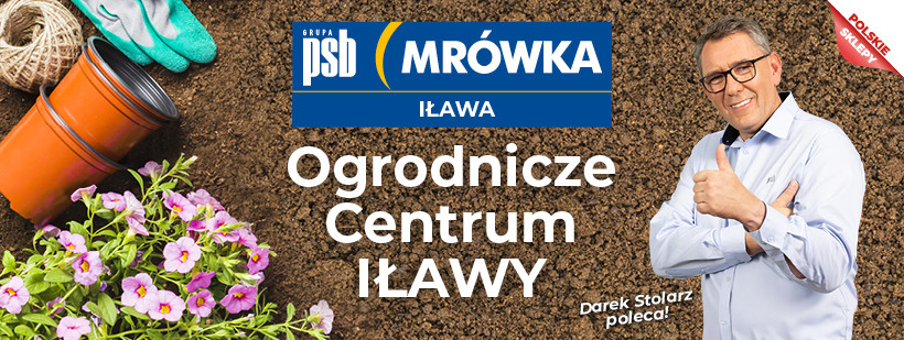 Grupa PSB mrowka Mrówka Iława